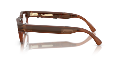 Nuance Audio Plus Panthos 48 hearing glasses in amber, side view